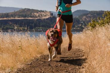 Ruffwear Switchbak Harness Red Sumac - Gr. S